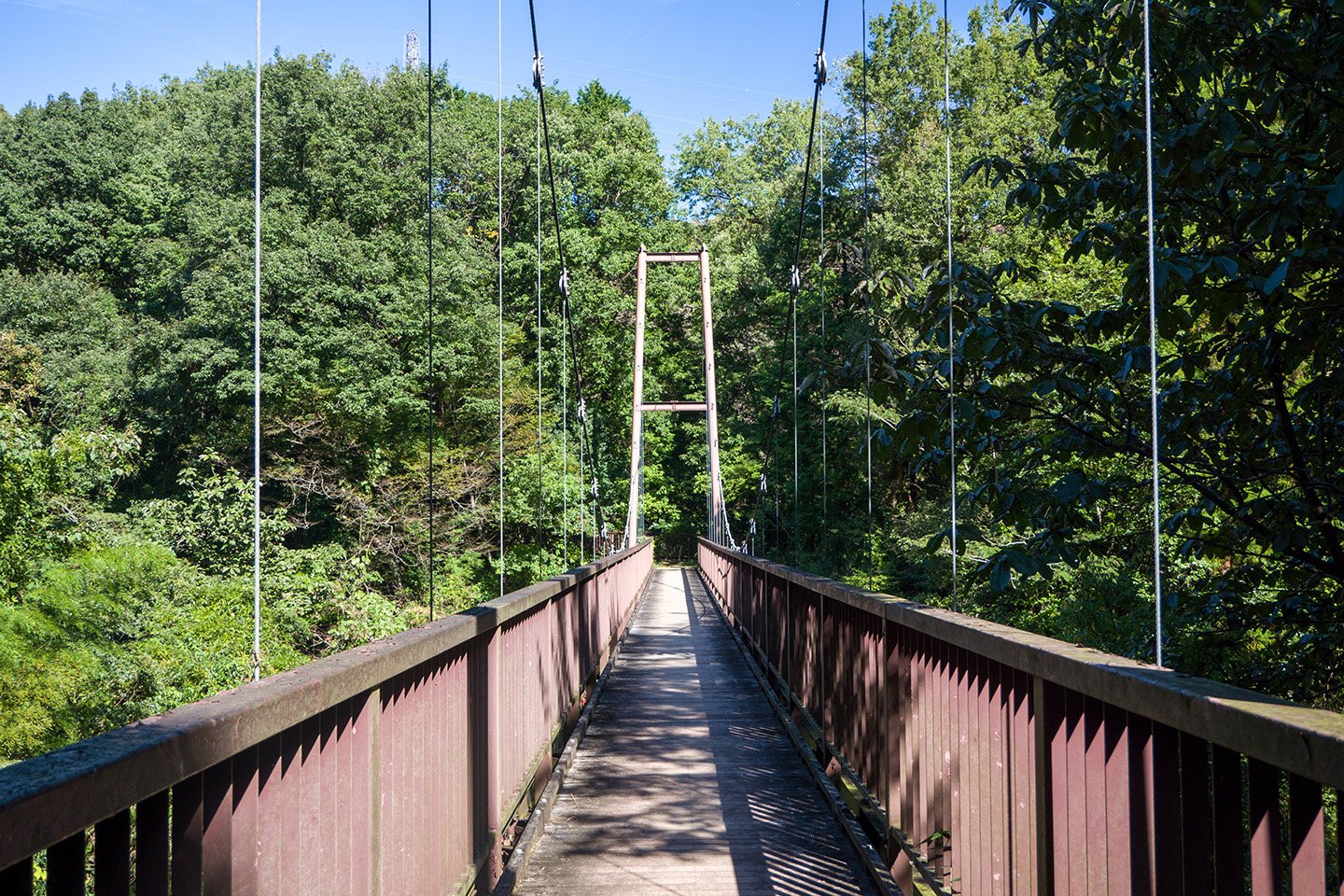 🌳 오야마다 녹지(오야마다료쿠치) 이미지 7